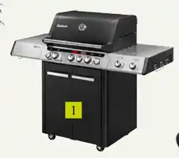 Pflanzen Kölle Enders Gasgrill Angebot