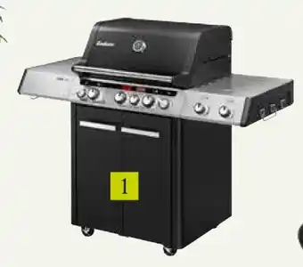 Pflanzen Kölle Enders Gasgrill Angebot