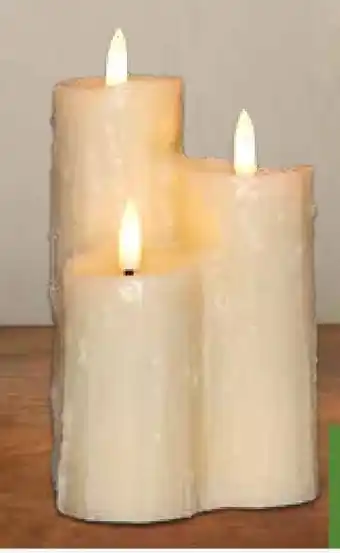 Pflanzen Kölle LED-Echtwachskerzen Angebot
