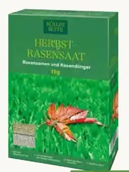 Pflanzen Kölle Kölle's Beste Herbst-Rasensaat Angebot