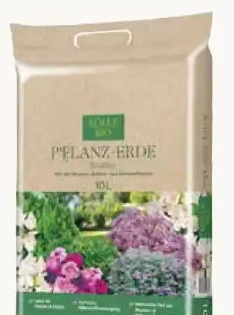 Pflanzen Kölle Kölle's Bio Pflanz-Erde Torffrei Angebot
