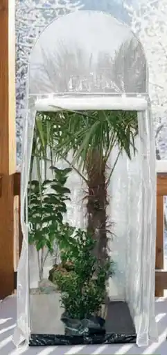 Pflanzen Kölle Frostschutzhaus Palm Protect Angebot