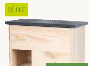 Pflanzen Kölle Kölle Igelhaus Angebot