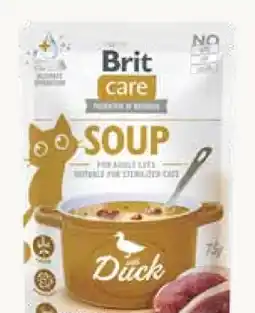 Pflanzen Kölle Brit Care Soup Angebot