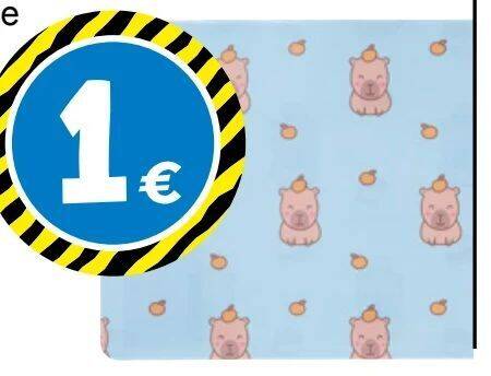 Platzset Capybara Angebot bei TEDi