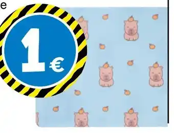 Platzset Capybara Angebot bei TEDi