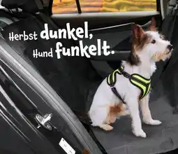 TEDi Autoschondecke Angebot