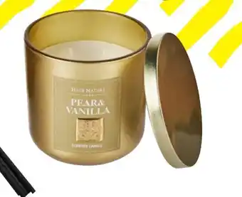 TEDi Hugs Nature Duftkerze Angebot
