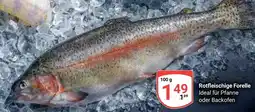 Globus Rotfleischige Forelle Angebot