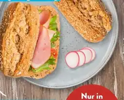 Aldi Süd Nur Natur Bio-Dinkelvollkorn-Krusti Angebot