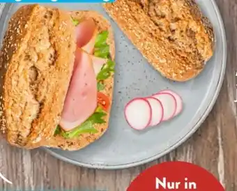 Aldi Süd Nur Natur Bio-Dinkelvollkorn-Krusti Angebot