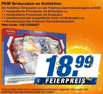 expert Techno Land PKM Briduradon-ex Kollektion Angebot