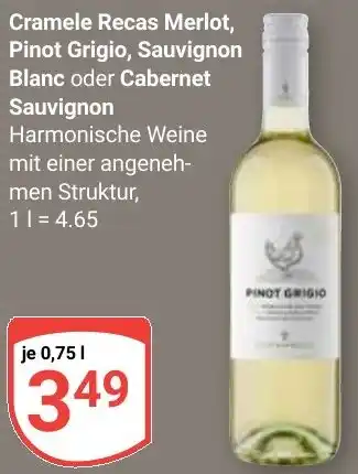 Globus Cramele Recas Merlot, Pinot Grigio, Sauvignon Blanc oder Cabernet Sauvignon Angebot