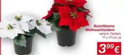 KiK Kunstblume weihnachtsstern Angebot