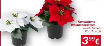 KiK Kunstblume weihnachtsstern Angebot