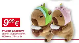 KiK Plüsch-capybara Angebot