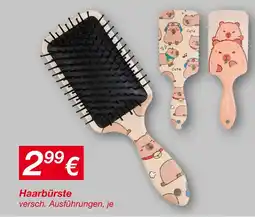 KiK Haarbürste Angebot