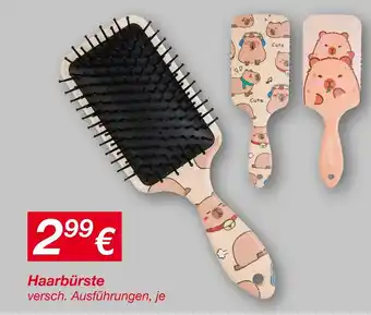 KiK Haarbürste Angebot