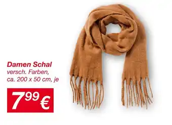 KiK Damen schal Angebot