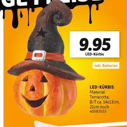SCONTO Led-kürbis Angebot