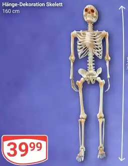 Globus Hänge-Dekoration Skelett Angebot