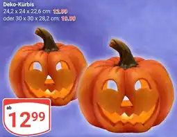 Globus Deko-Kürbis Angebot