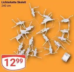 Globus Lichterkette Skelett Angebot