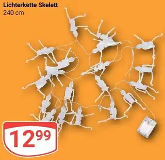 Globus Lichterkette Skelett Angebot