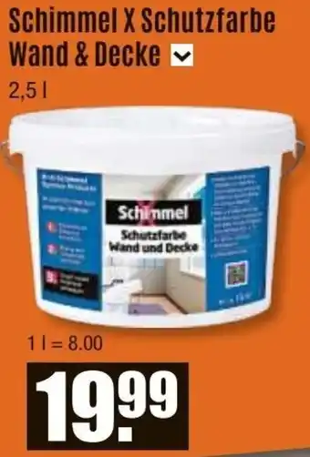 V Baumarkt Schimmel X Schutzfarbe Wand & Decke Angebot