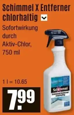 V Baumarkt Schimmel X Entferner chlorhaltig Angebot