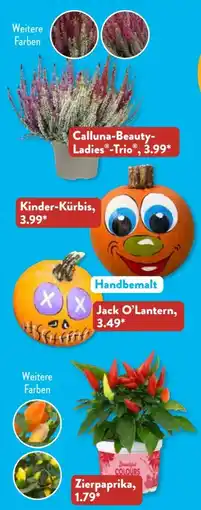 Aldi Süd Gardenline Zierpaprika Angebot