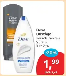 Budni Dove Duschgel Angebot