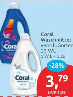 Budni Coral Waschmittel Angebot