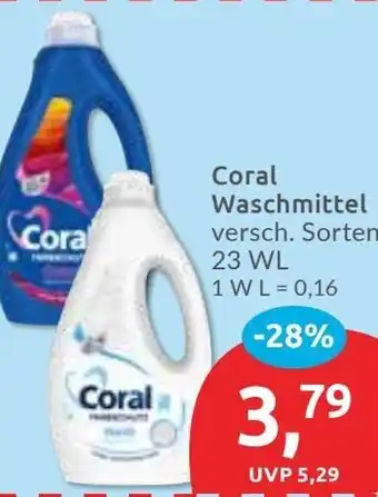 Budni Coral Waschmittel Angebot