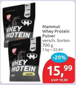 Budni Mammut Whey Protein Pulver Angebot