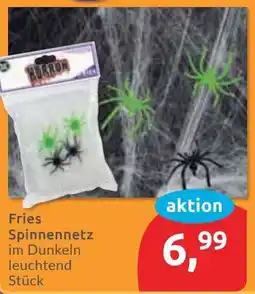 Budni Fries Spinnennetz Angebot