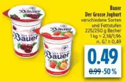 diska Bauer Der Grosse Joghurt Angebot