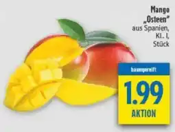 diska Mango „Osteen" Angebot