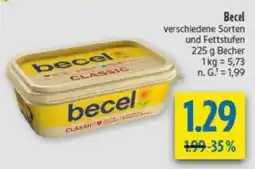 diska becel Angebot