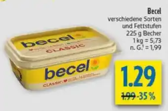 diska becel Angebot