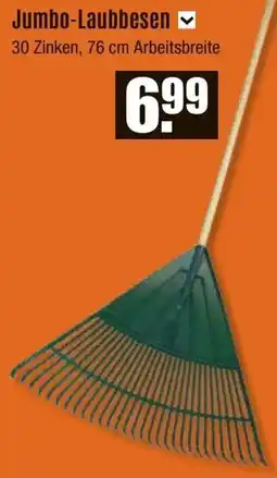 V Baumarkt Jumbo-Laubbesen Angebot