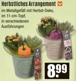 V Baumarkt Herbstliches Arrangement Angebot
