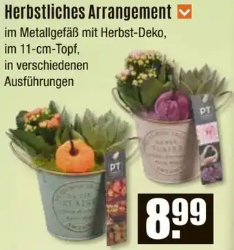 V Baumarkt Herbstliches Arrangement Angebot