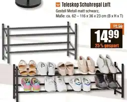 V Baumarkt Teleskop Schuhregal Loft Angebot