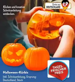 Aldi Süd Halloween-Kürbis Angebot