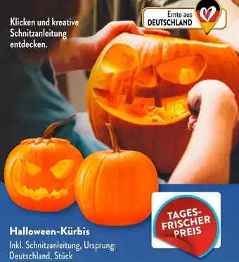 Aldi Süd Halloween-Kürbis Angebot