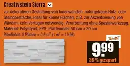 V Baumarkt Creativstein Sierra Angebot