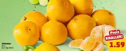 PENNY Satsumas Angebot