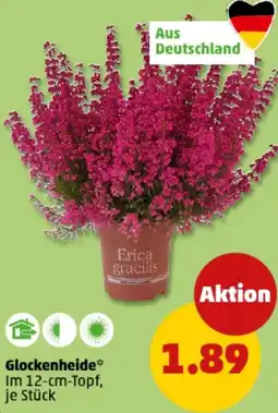 PENNY Glockenheide Angebot
