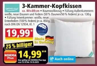 Norma 3-Kammer- Kopfkissen Angebot